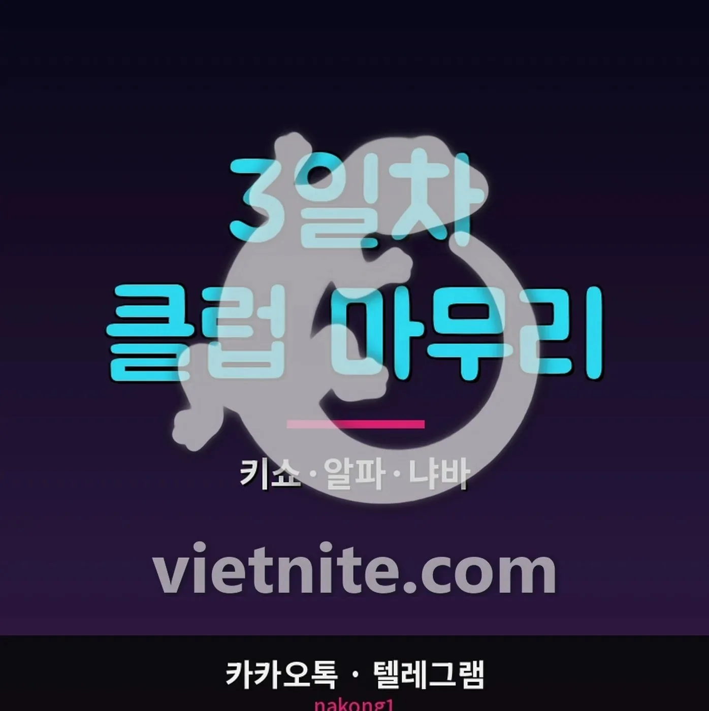 나트랑 2일차 마사지 불건마 비타민 체리 코스 선택