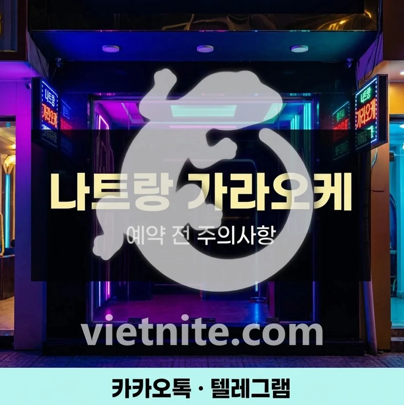 나트랑 가라오케 TC 숏 롱 코스 선택과 예약 주의사항