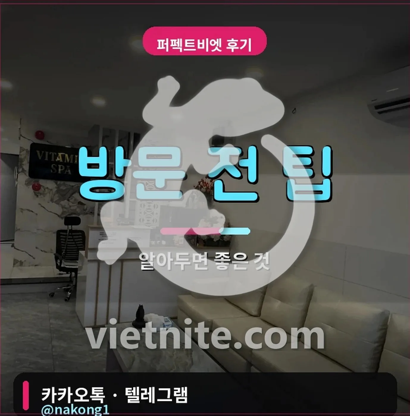 나트랑 비타민 황제 체리스파 코스 총액 비교
