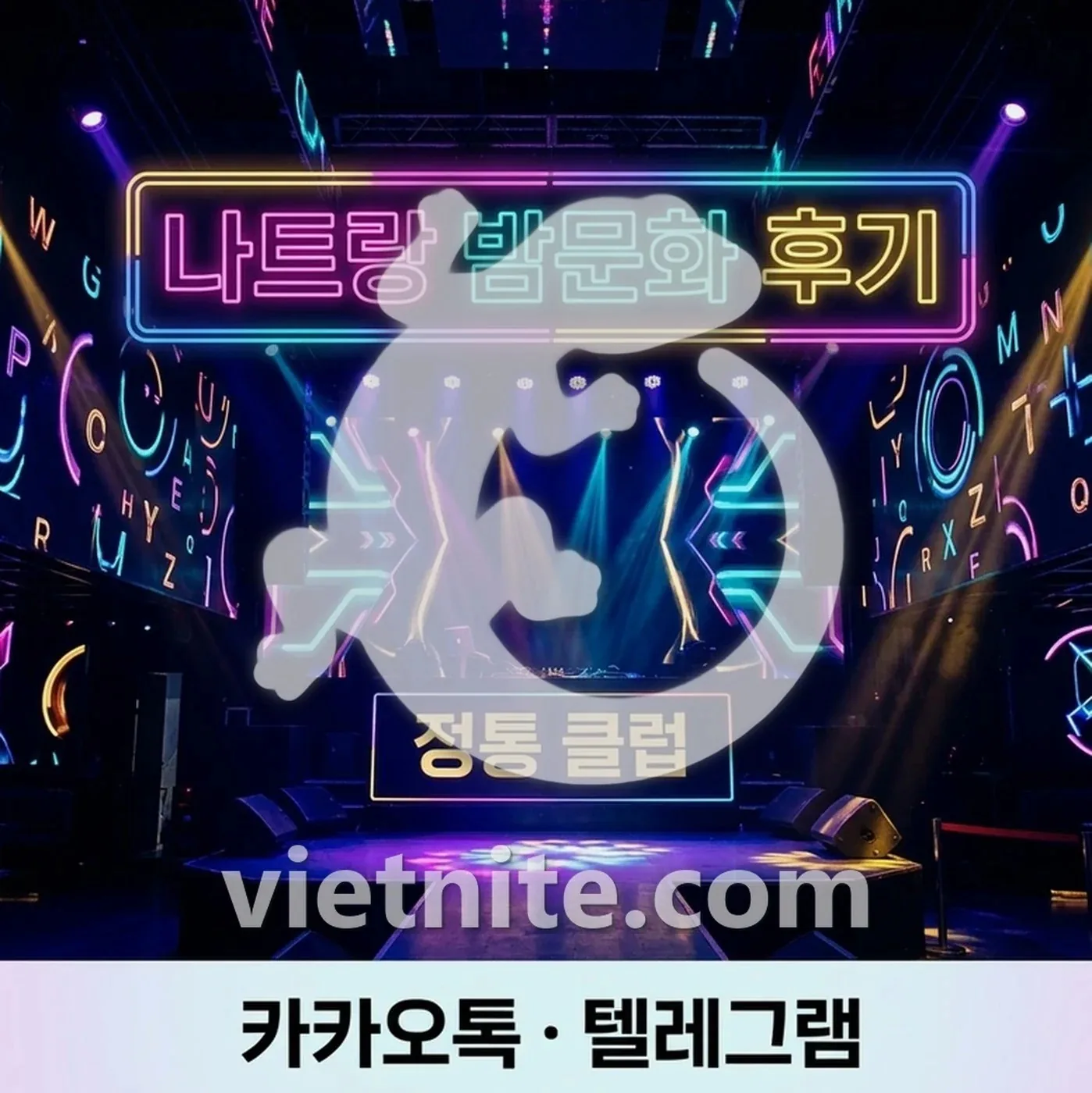 나트랑 실내 나이트클럽 키쇼 알파 냐바의 무대 분위기