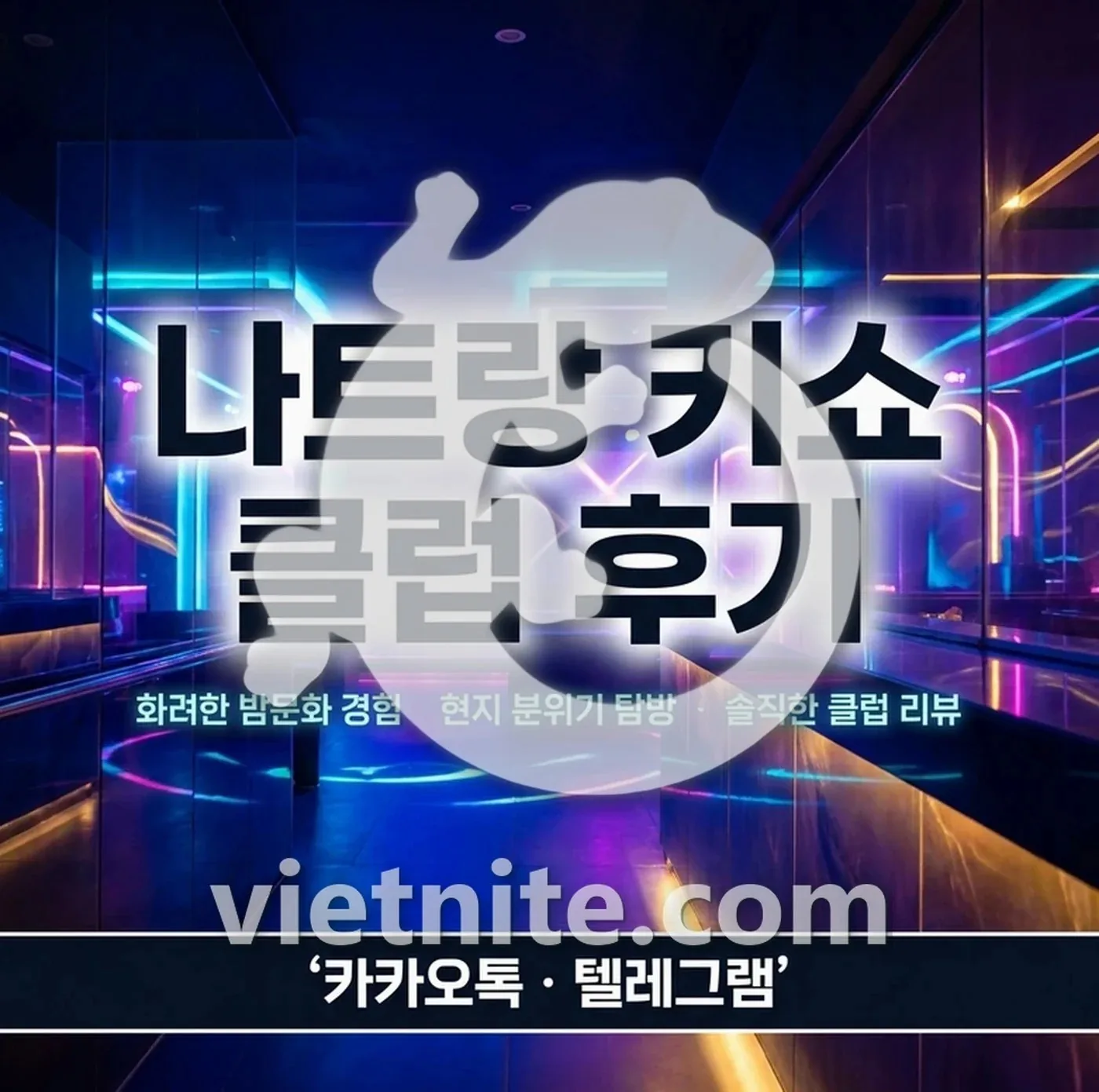 키쇼 클럽 입장과 내부 분위기
